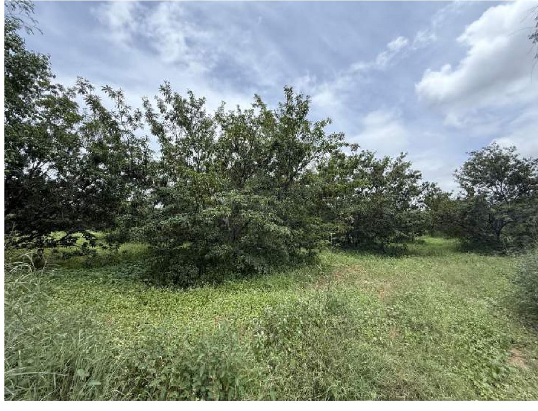 30 Acres of Land for Sale – Hunasuru, Mysore District